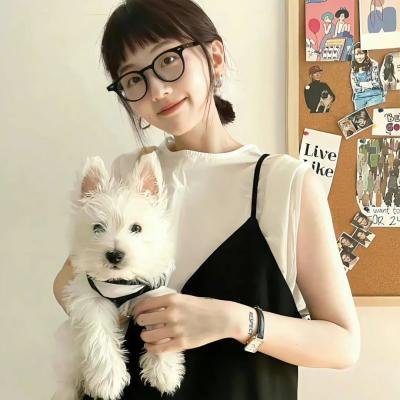 摩登原始人第五季