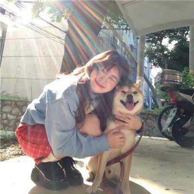 逆袭之状元回乡